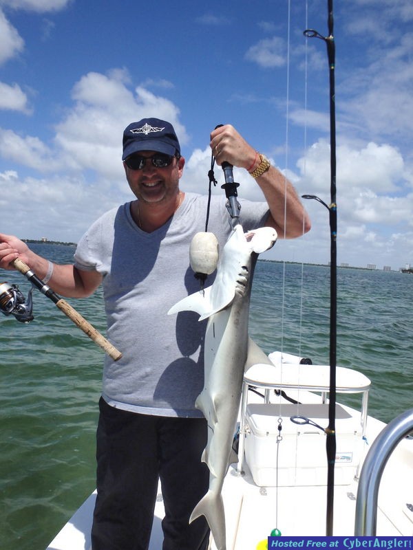 Ken_n_bonnethead