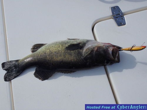 Click to Enlarge Photo