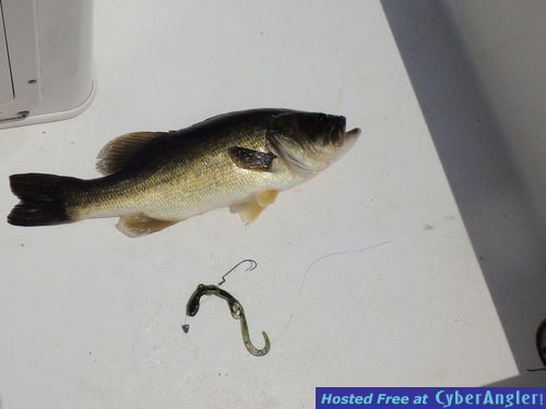 Click to Enlarge Photo