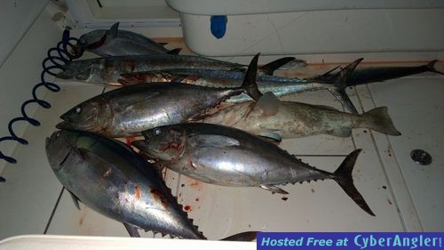 Click to Enlarge Photo