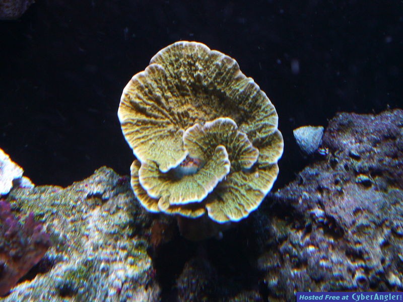 P1010237