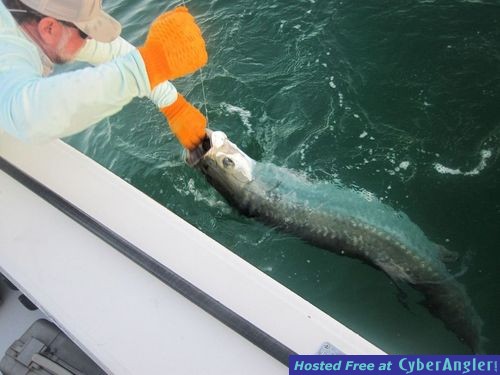 Jim Dempsey Sarasota tarpon with Capt. Rick Grassett