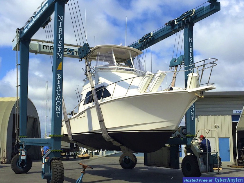 Click to Enlarge Photo