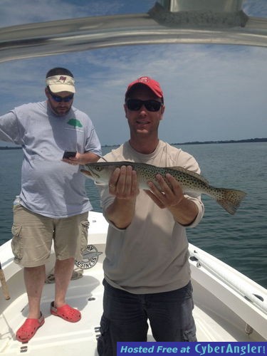 snook, reds, trout, snapper