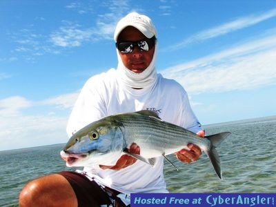 Click to Enlarge Photo