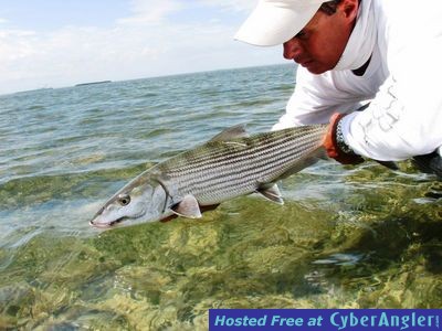 Click to Enlarge Photo