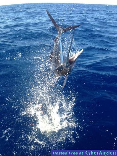 Click to Enlarge Photo