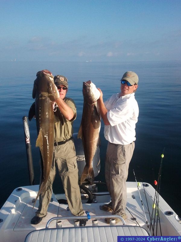 Click to Enlarge Photo