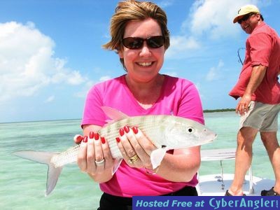 Click to Enlarge Photo