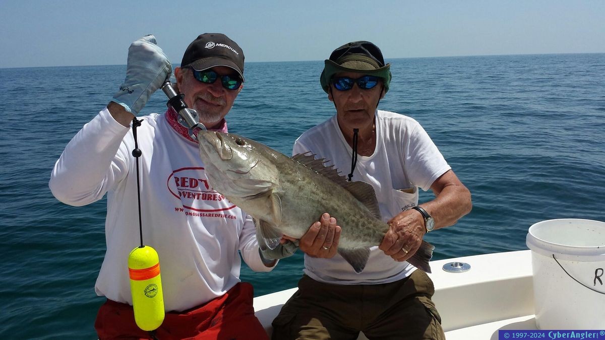 Click to Enlarge Photo