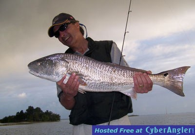 Banana River Redfish