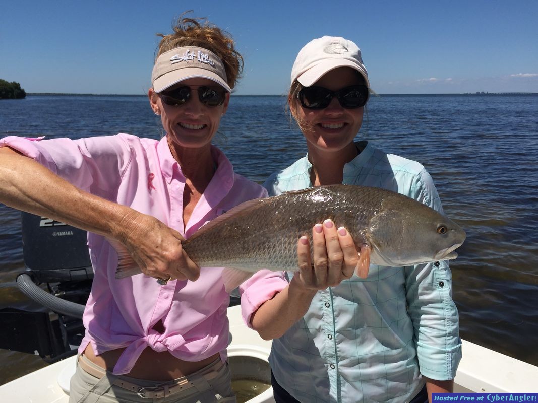 Tarpon, Snook, Redfish, Shark