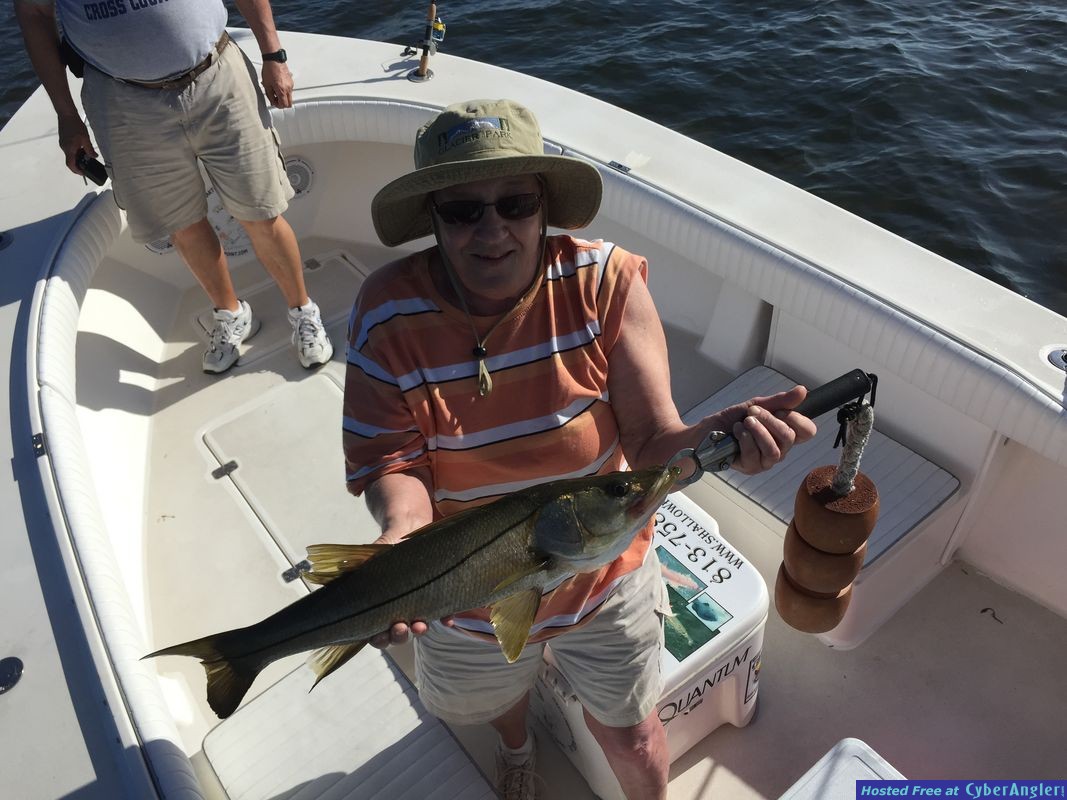 Tarpon, Snook, Redfish, Shark