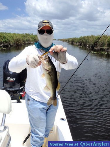 Click to Enlarge Photo