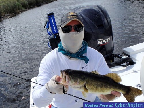 Click to Enlarge Photo