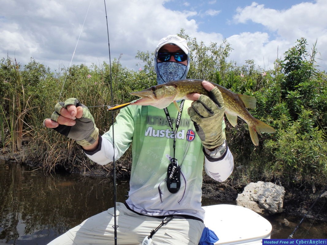 Capt_A_n_pickerel_n_Rapala