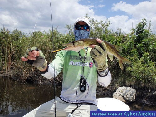 Click to Enlarge Photo