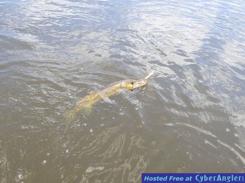 Click to Enlarge Photo