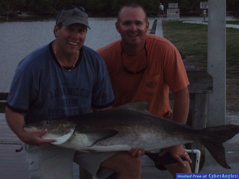 Big Cobia