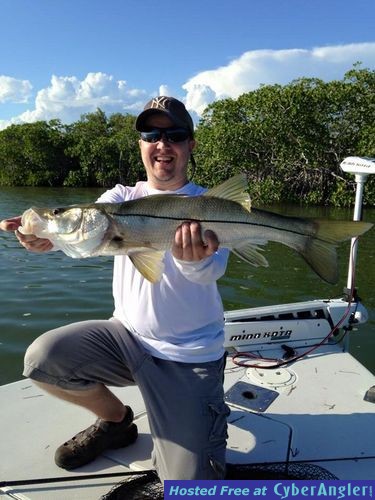 Everglades Snook