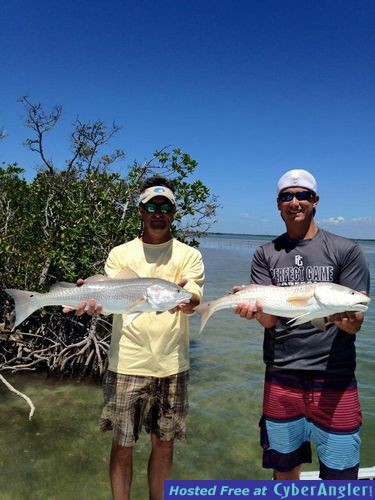 Click to Enlarge Photo