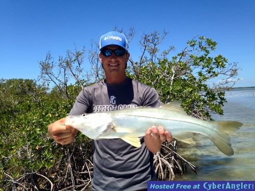 Click to Enlarge Photo