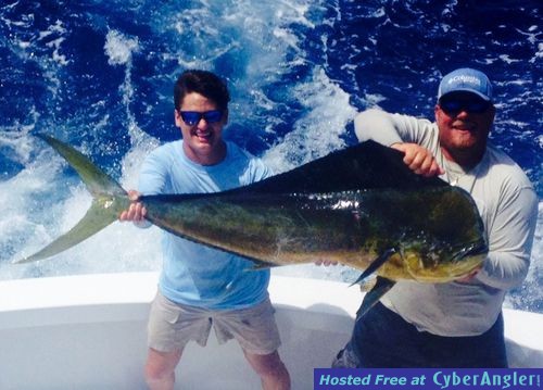 florida_keys_dolphin_fishng_45_bull