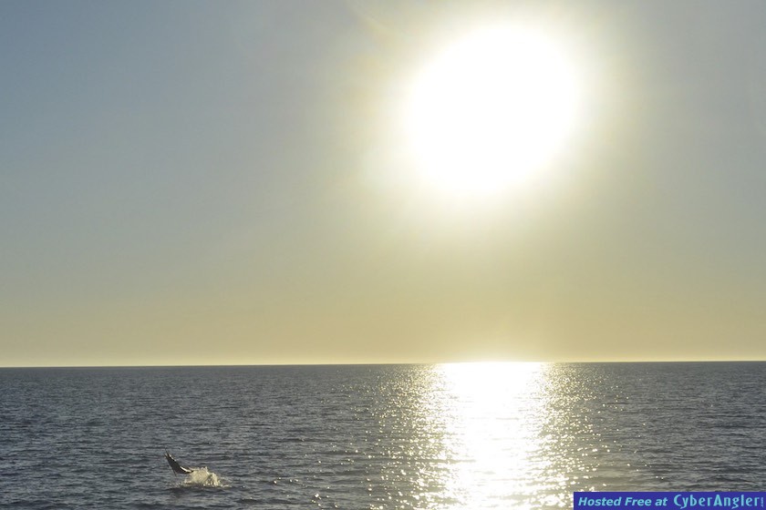 Click to Enlarge Photo