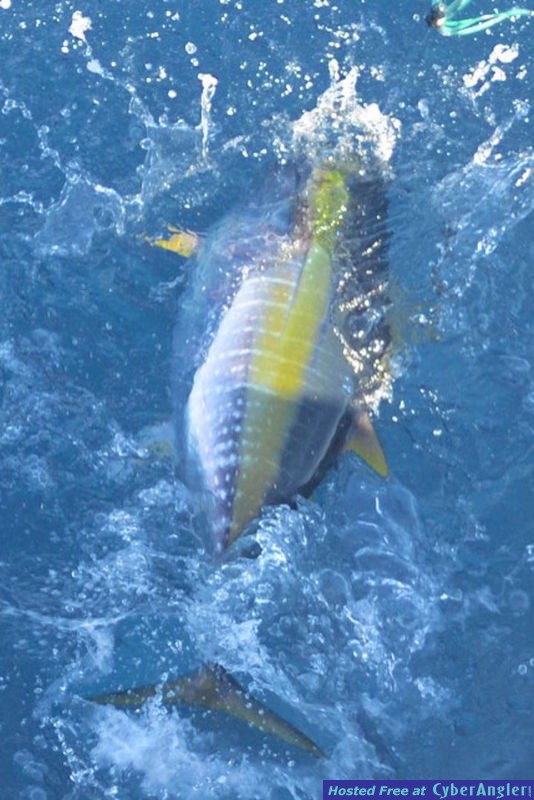 Click to Enlarge Photo