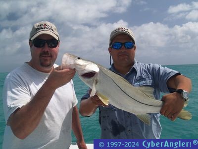 Click to Enlarge Photo