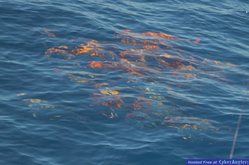 Click to Enlarge Photo