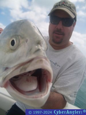 Click to Enlarge Photo