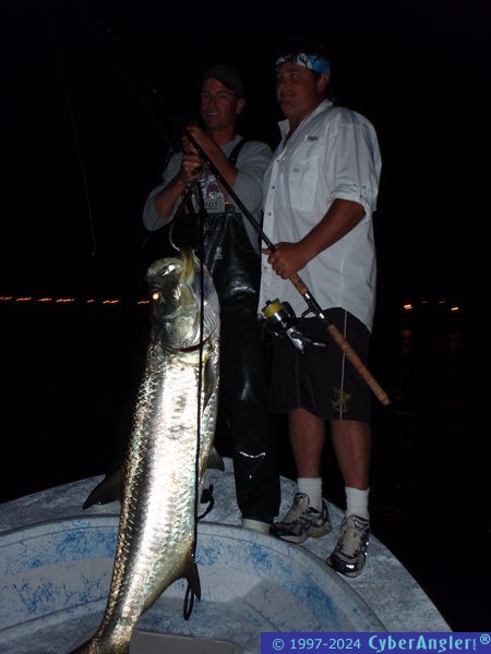 A little night time tarpon fishing!