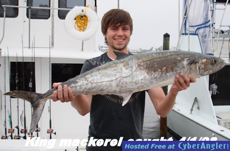 king mackerel