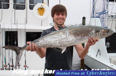 Click to Enlarge Photo