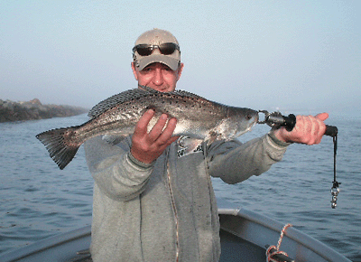 Click to Enlarge Photo