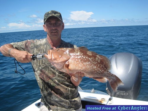 26-inch red grouper-Kies
