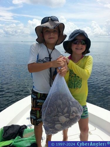 Scalloping in Homosassa, FL