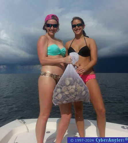 Scalloping in Homosassa, FL