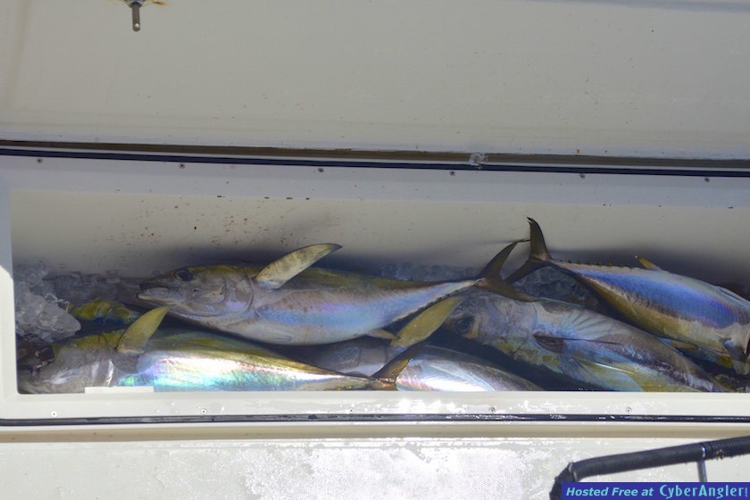 Click to Enlarge Photo