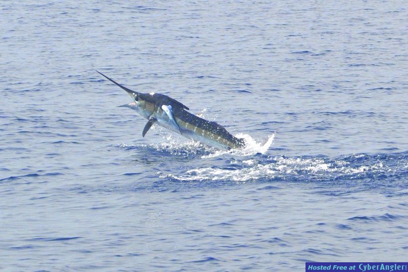 Click to Enlarge Photo