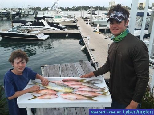 Mixed bag of Dolphin and Yellowtails