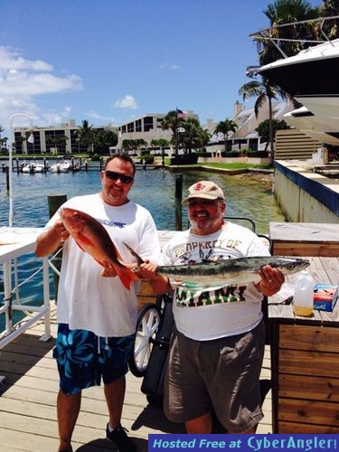 Kingfish Jupiter FL