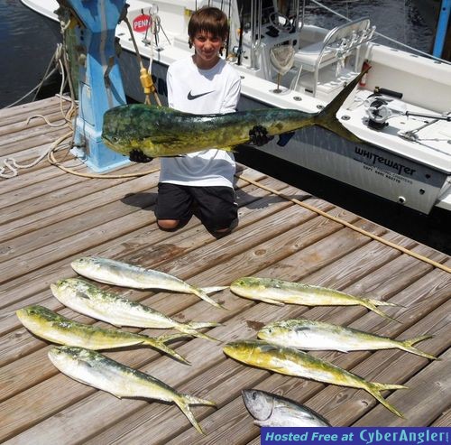 Click to Enlarge Photo