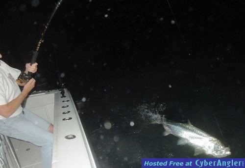 Click to Enlarge Photo