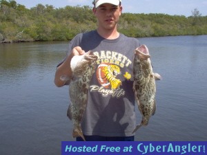 pair of gag grouper
