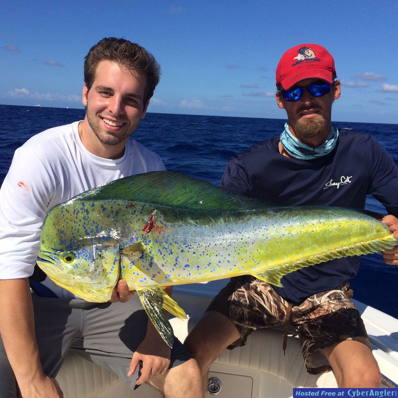 Fishing Islamorada, FL