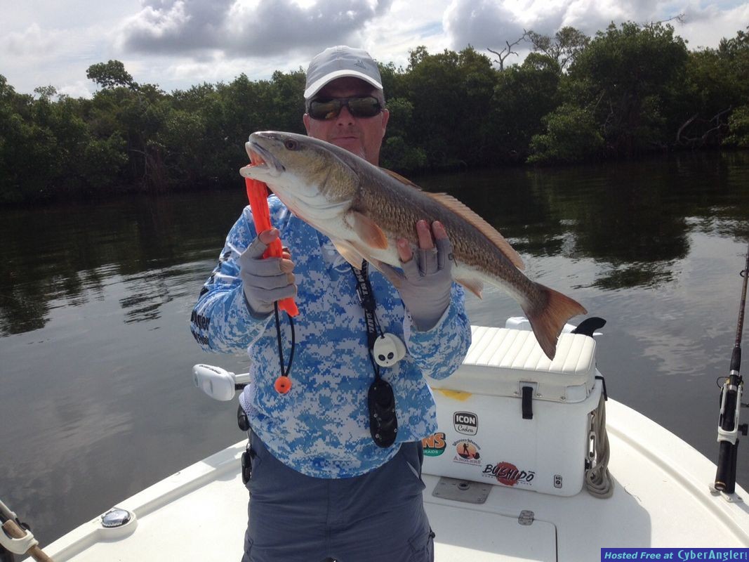 Click to Enlarge Photo