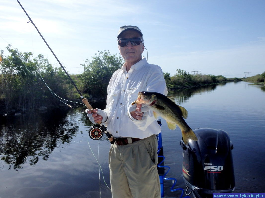 Jerry_c_n_bass