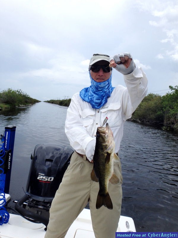 Jerry_n_bass_5